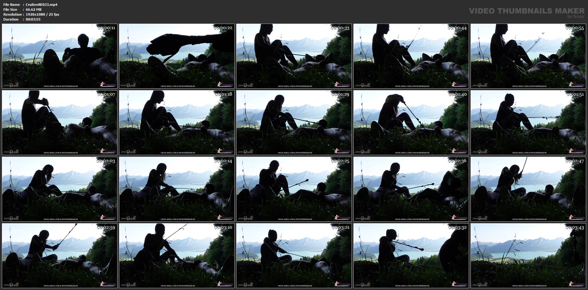 The Thorn Florets Of Your Balls - CRUEL REELL - FULL HD/1080p/MP4