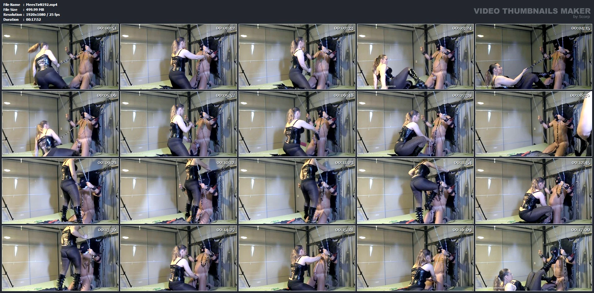 Dick Slapping Trampling CBT Dildo Sucking - MEESTERES TIRZA / KIKI KOETSENRUIJTER / MISTRESS TIRZA - MP4