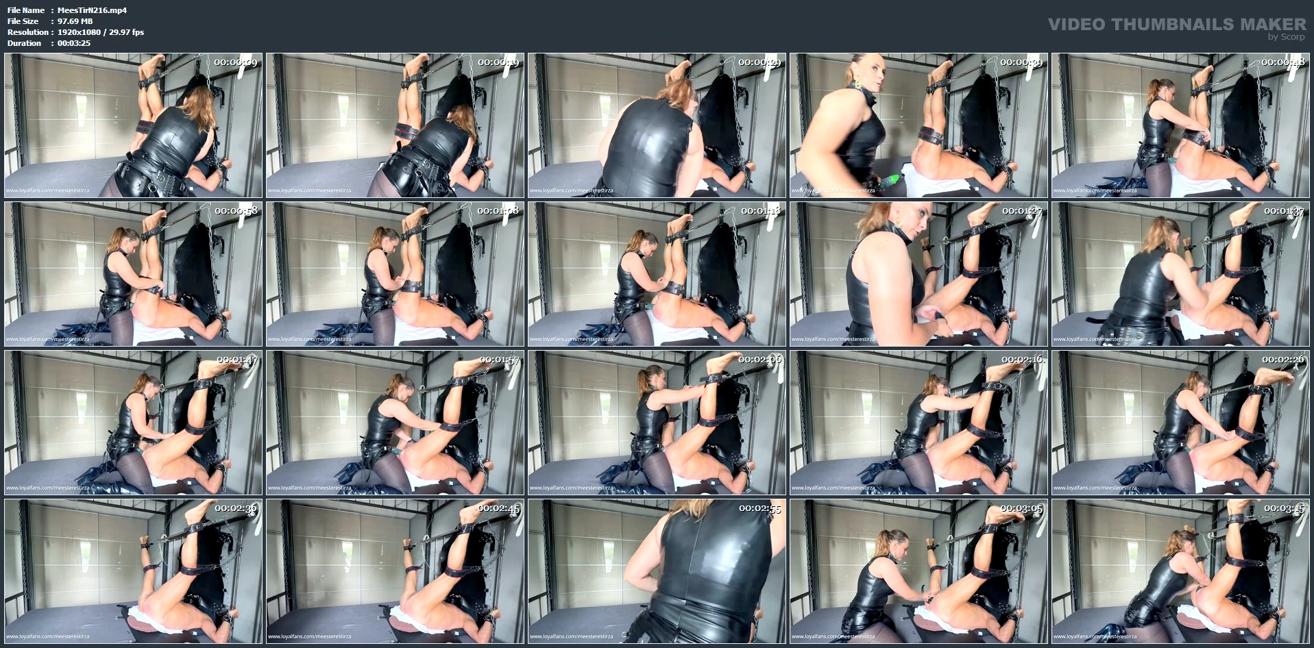 Dildo Fucking Pegging But Plug - MEESTERES TIRZA / KIKI KOETSENRUIJTER / MISTRESS TIRZA - MP4