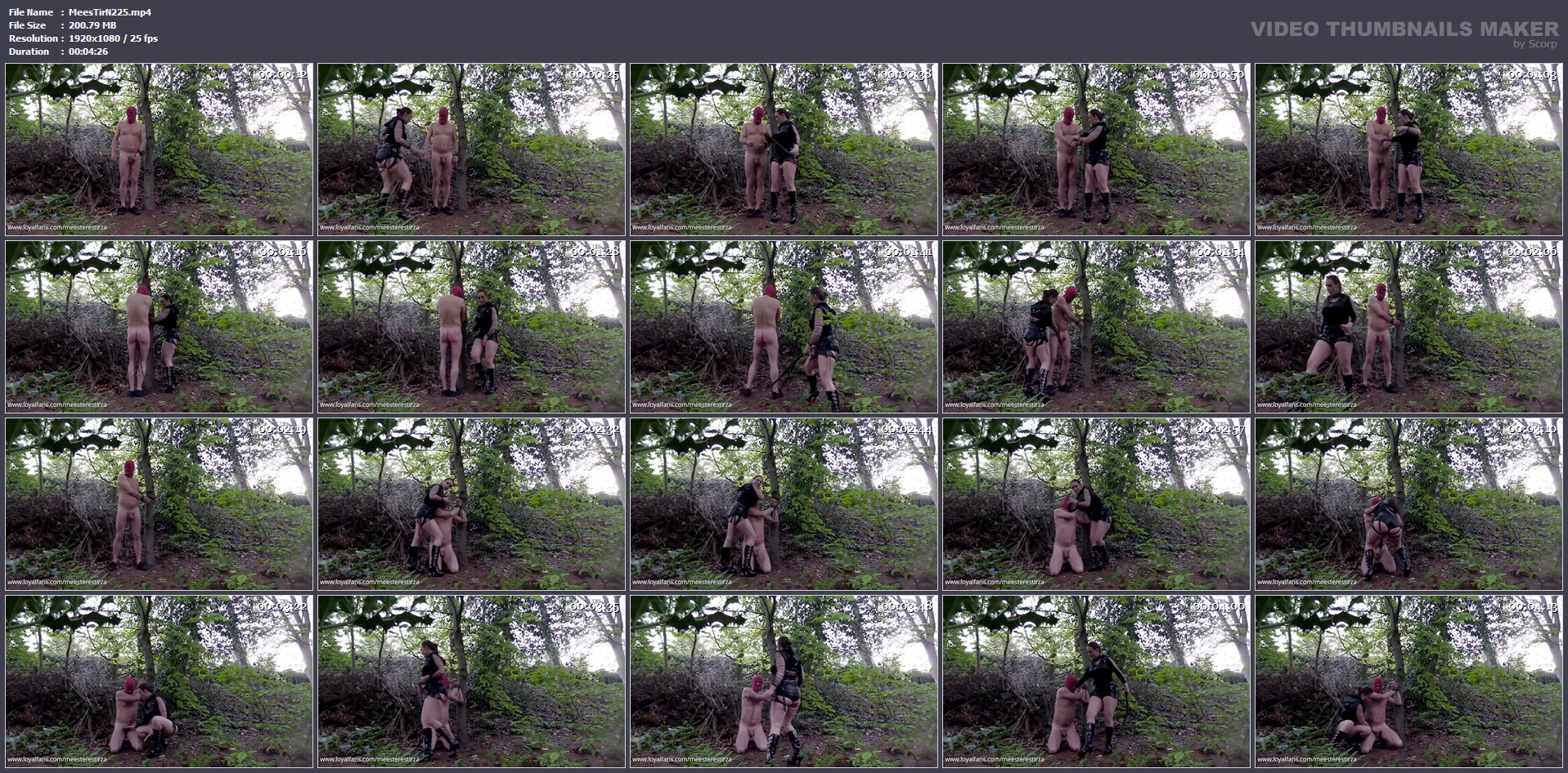 Dildo Sucking And Whipping Outdoor - MEESTERES TIRZA / KIKI KOETSENRUIJTER / MISTRESS TIRZA - MP4