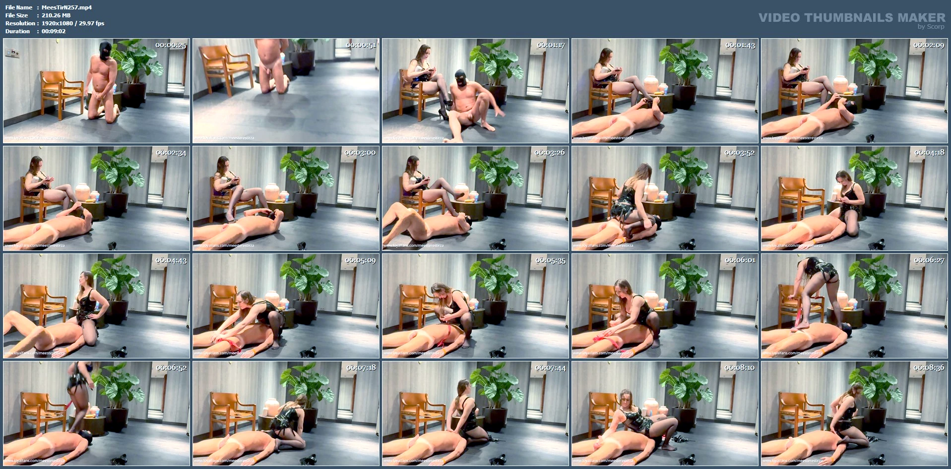 Face Sitting High Worship Foot Licking Trampling CBT Female Domination - MEESTERES TIRZA / KIKI KOETSENRUIJTER / MISTRESS TIRZA - MP4