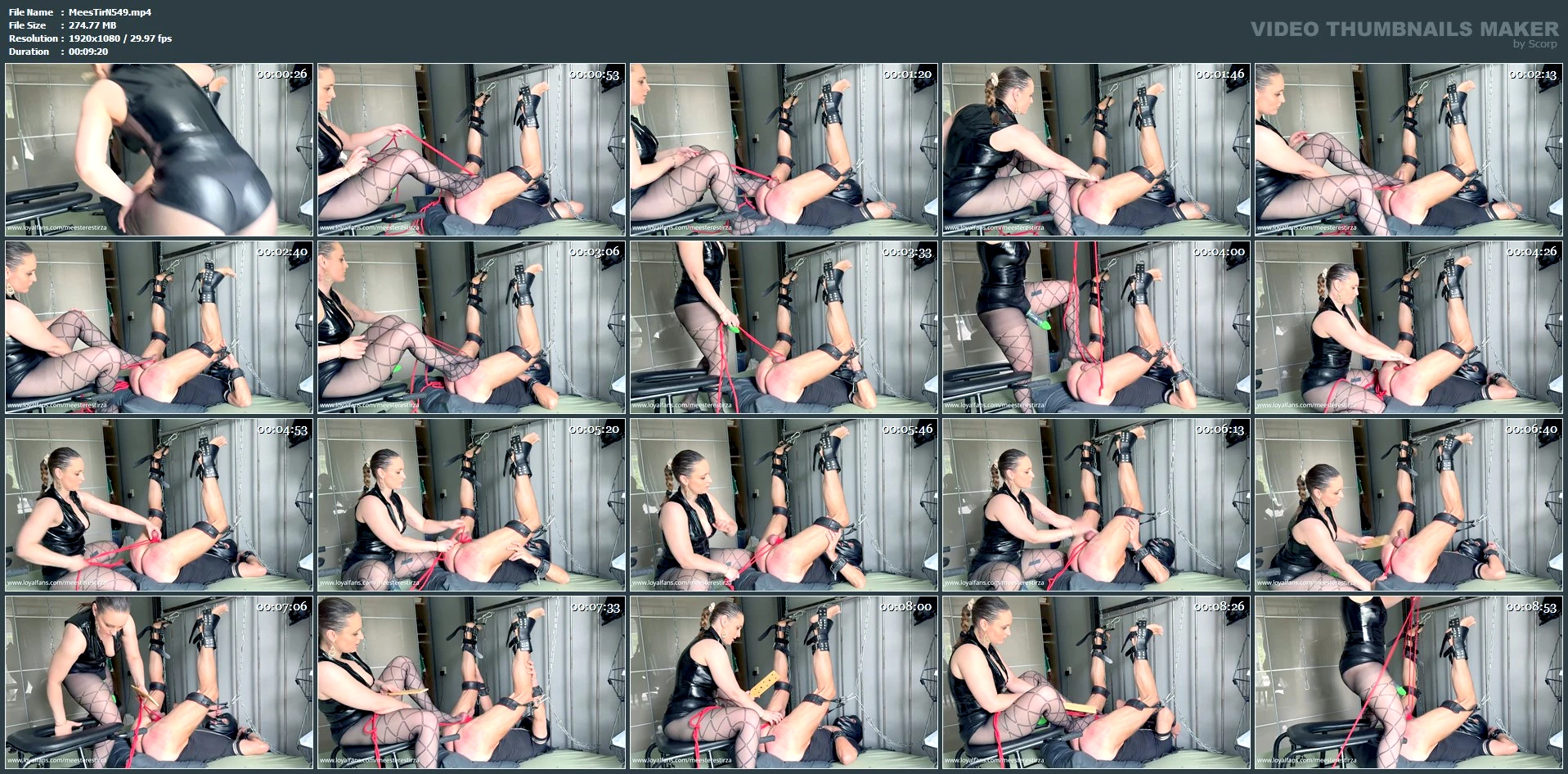 Trampling CBT Female Domination On This Submissive Bitchboy - MEESTERES TIRZA / KIKI KOETSENRUIJTER / MISTRESS TIRZA - MP4
