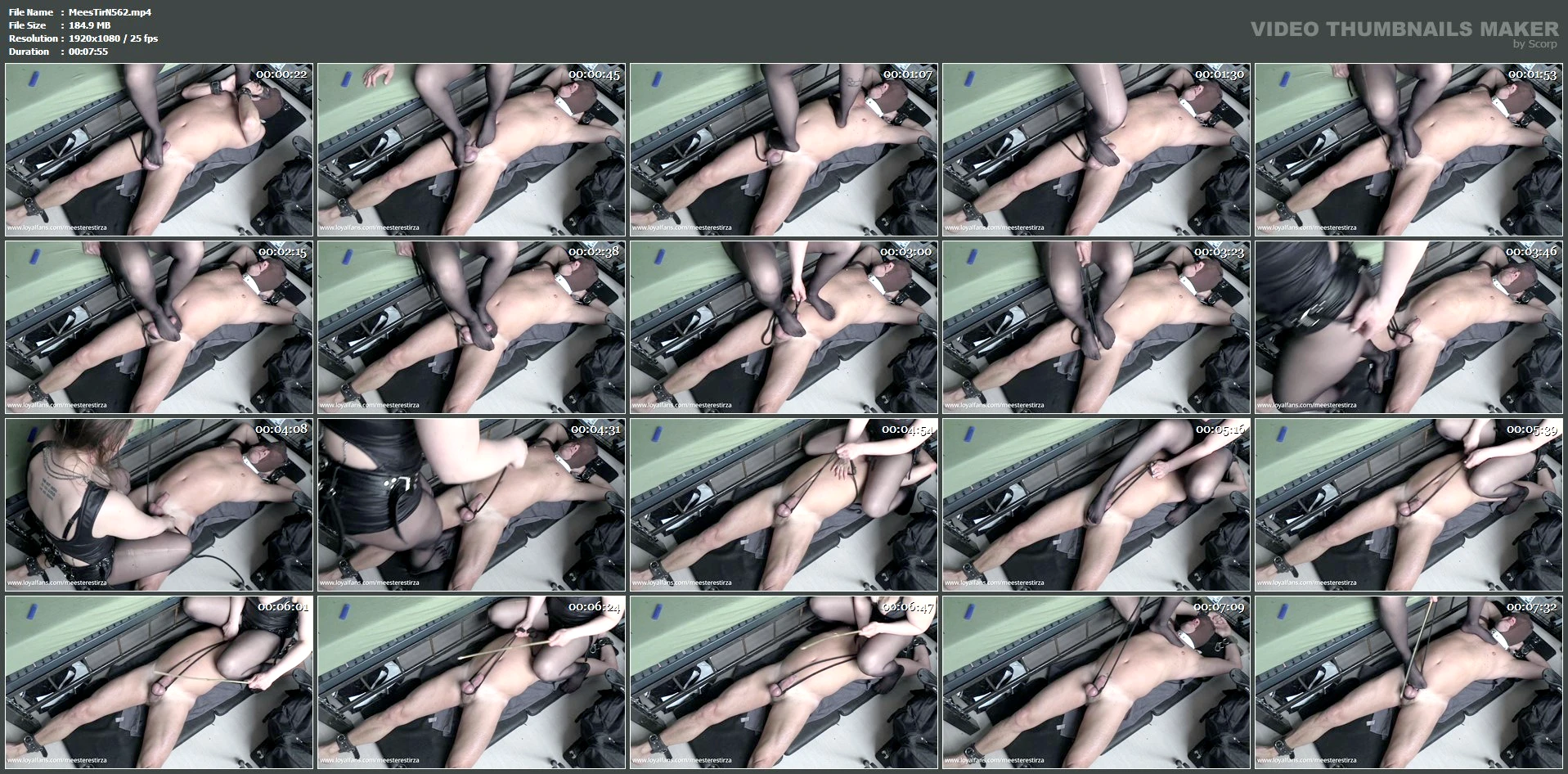 Trampling Dick Session - MEESTERES TIRZA / KIKI KOETSENRUIJTER / MISTRESS TIRZA - MP4