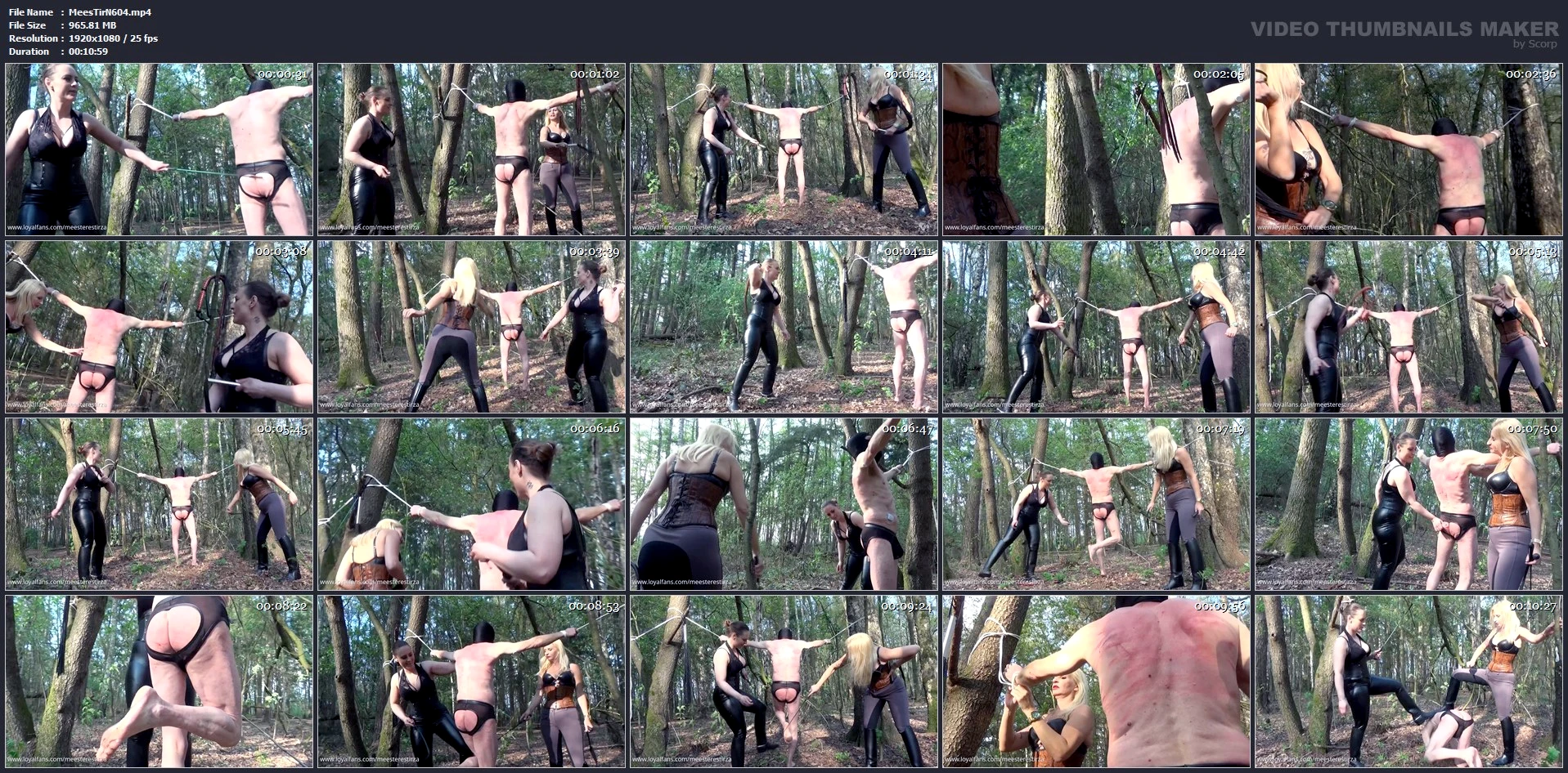 Whipping Outdoors Double Domination In The Woods - MEESTERES TIRZA / KIKI KOETSENRUIJTER / MISTRESS TIRZA - MP4